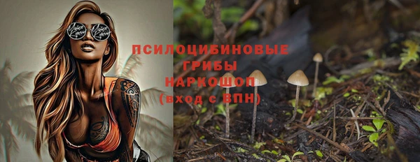 a pvp Богданович