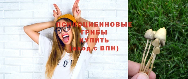 кристаллы Богородск