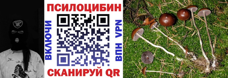 Псилоцибиновые грибы Cubensis  Шиханы 